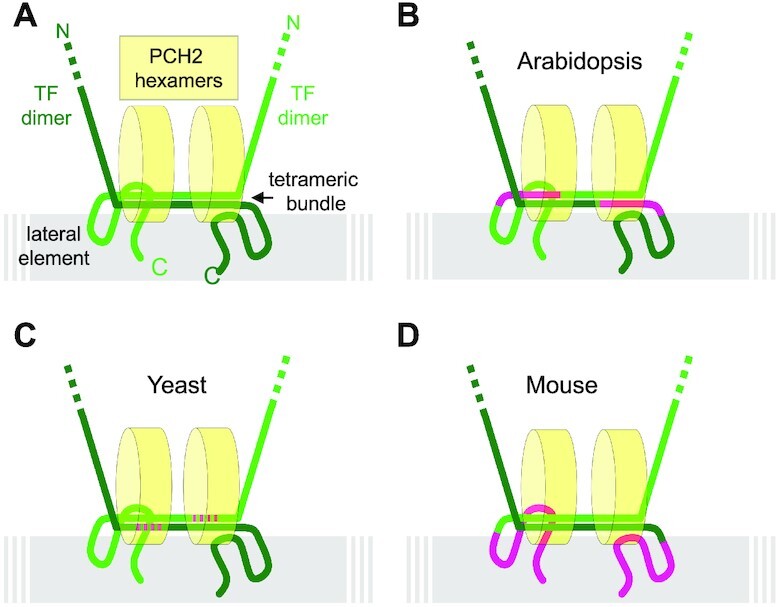 Figure 7.