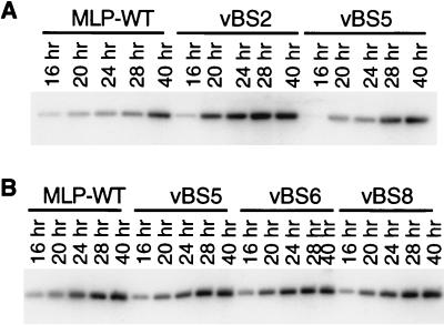 FIG. 6