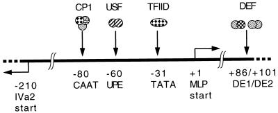 FIG. 1