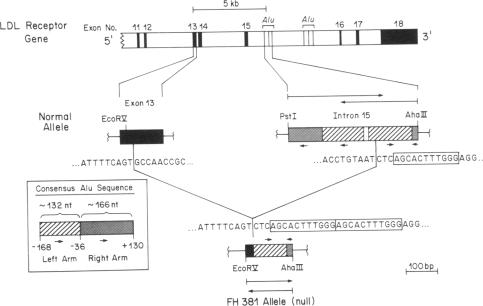 graphic file with name pnas00315-0122-a.jpg