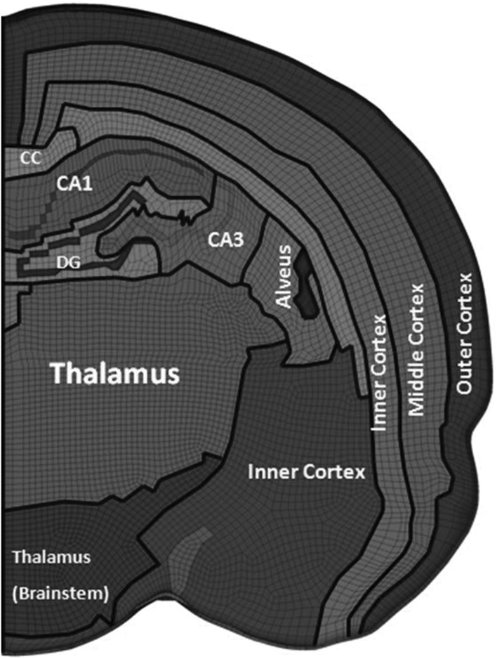 FIG. 2.