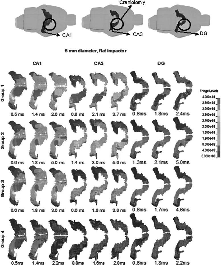 FIG. 4.