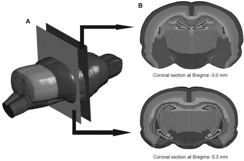 FIG. 1.