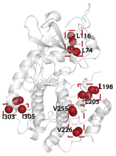 Fig. 5