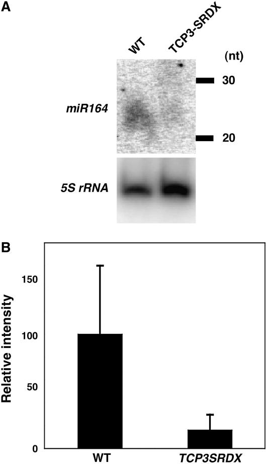 Figure 5.