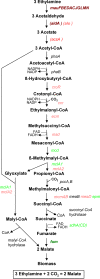 FIG. 1.