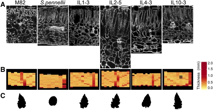 Figure 3.