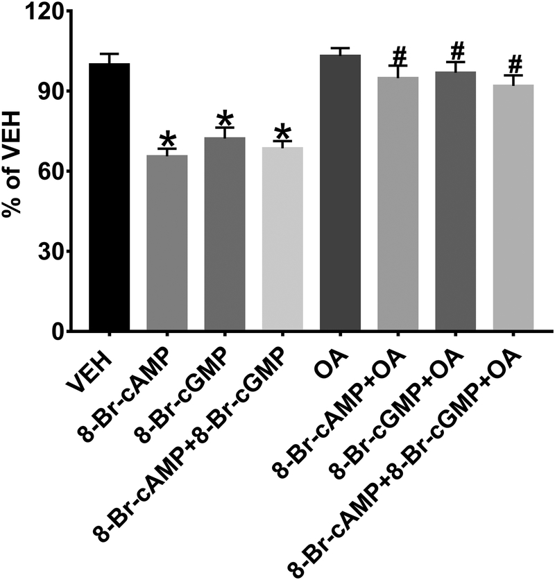 Figure 5: