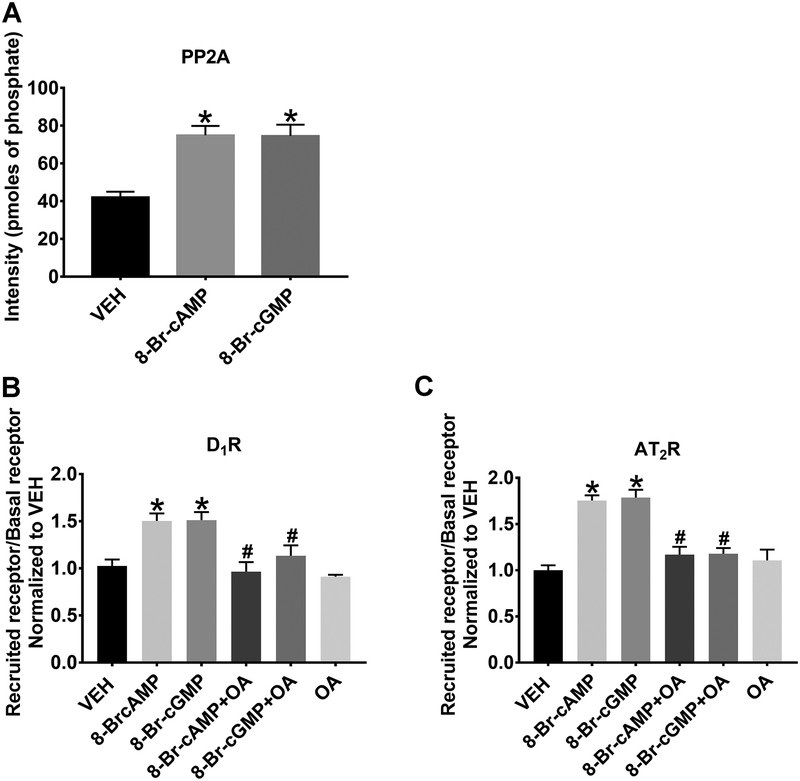 Figure 4: