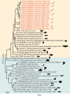 FIG 6
