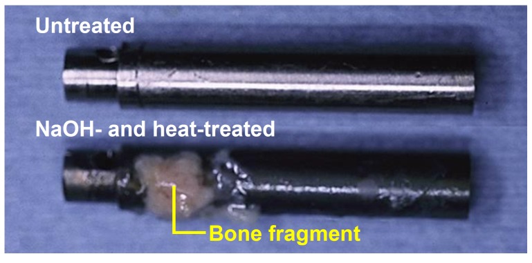 Fig. (11)