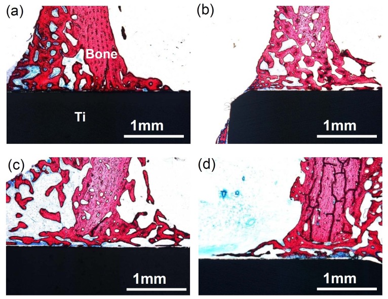 Fig. (7)