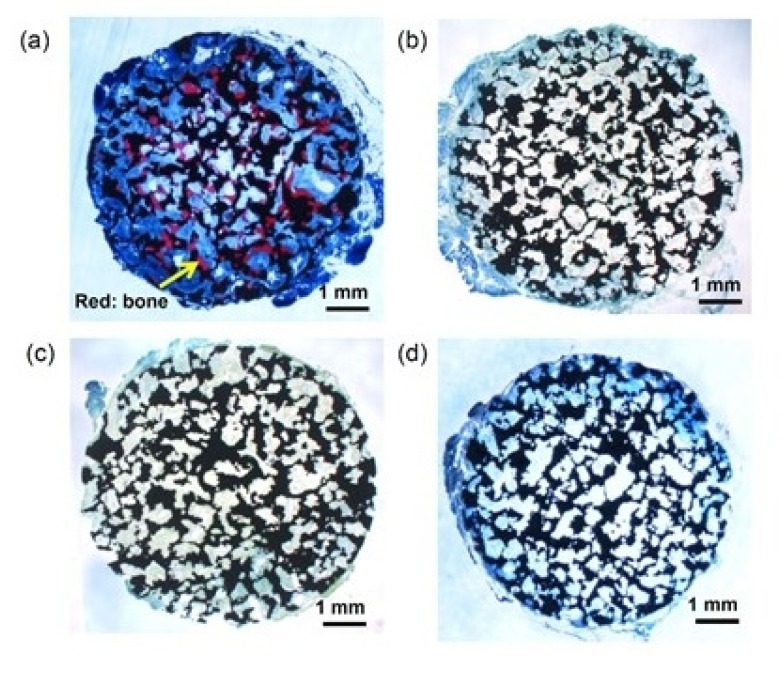 Fig. (9)