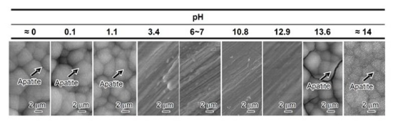 Fig. (1)