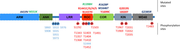 Fig. 2