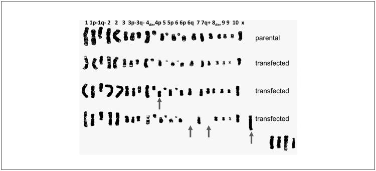 Fig. 4