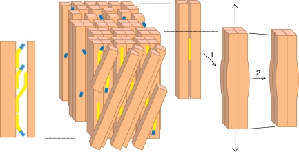 Fig. 3.