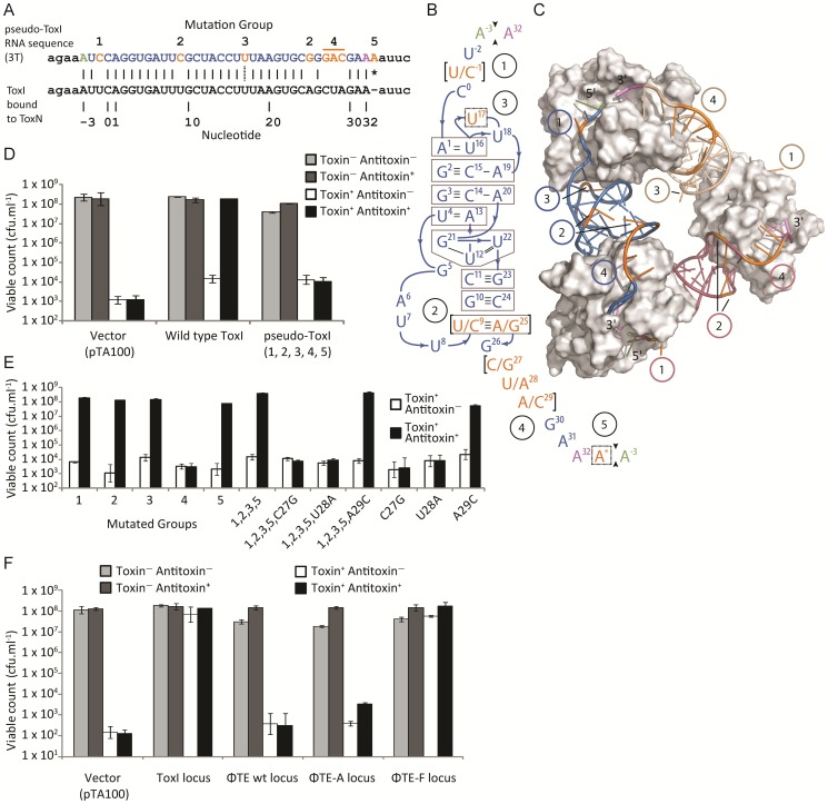 Figure 4