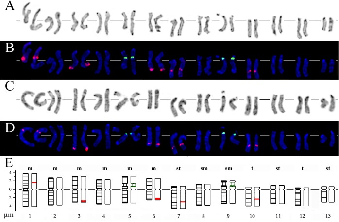 Fig 2