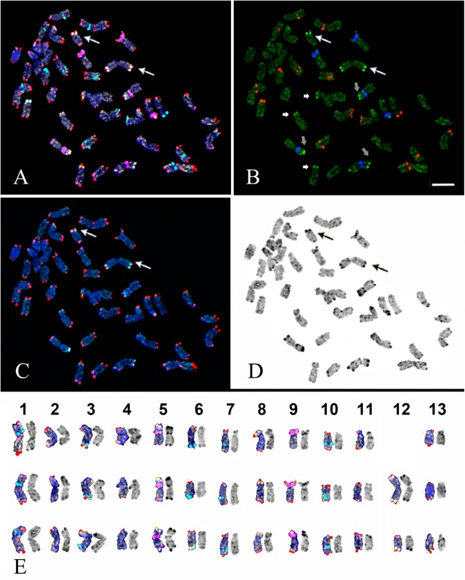 Fig 4