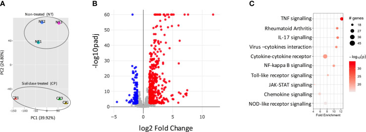 Figure 3