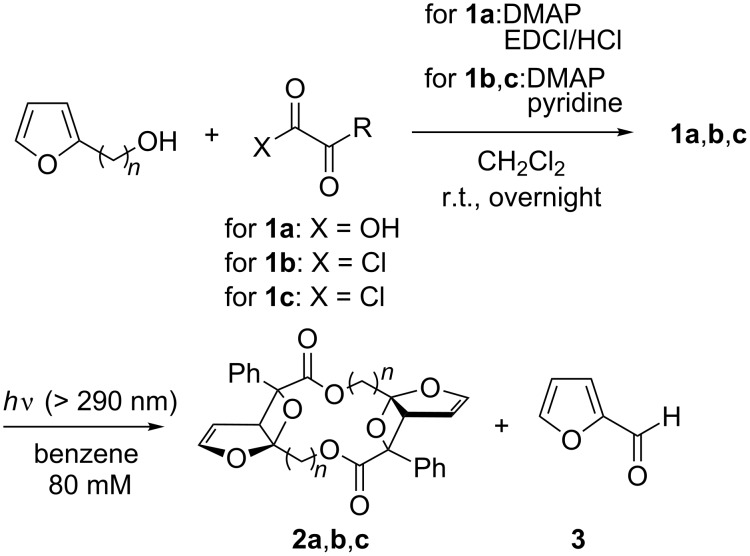 Scheme 3