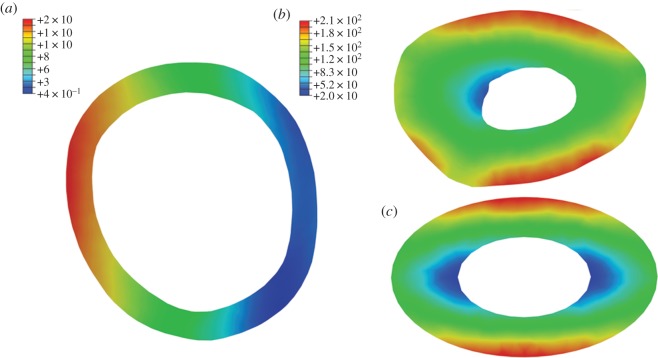 Figure 6.