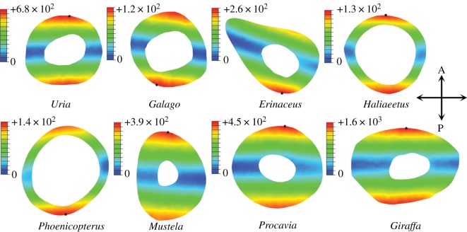 Figure 7.