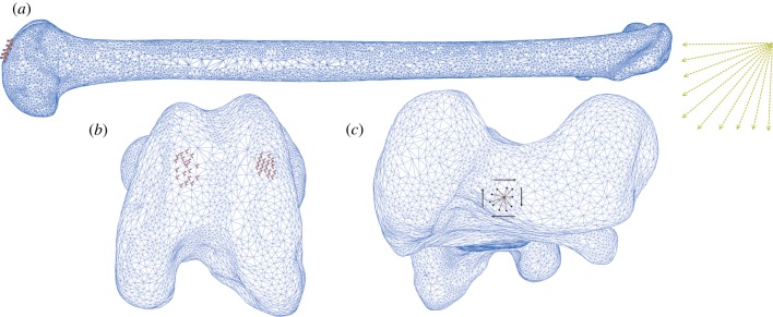 Figure 4.