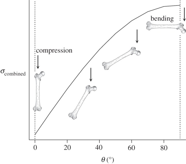 Figure 2.