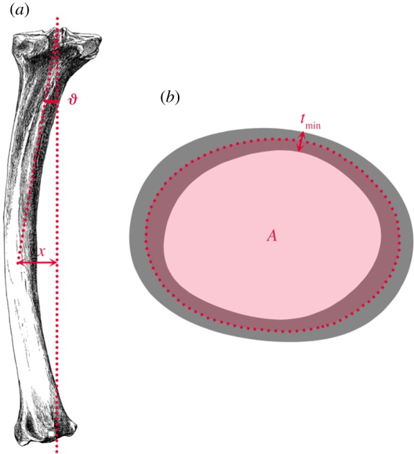 Figure 3.