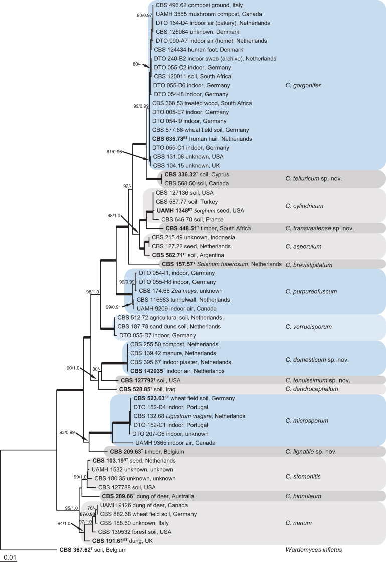 Fig 1