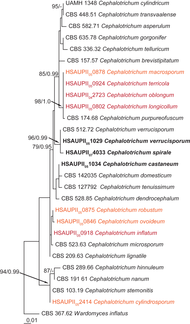 Fig. 2