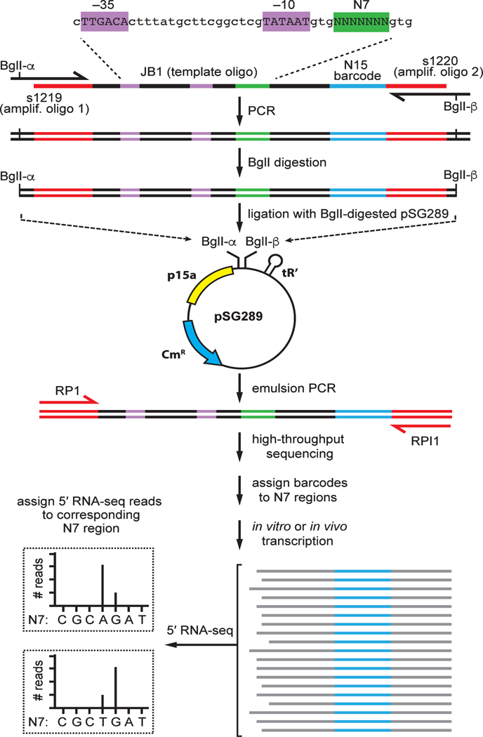 Figure 1.