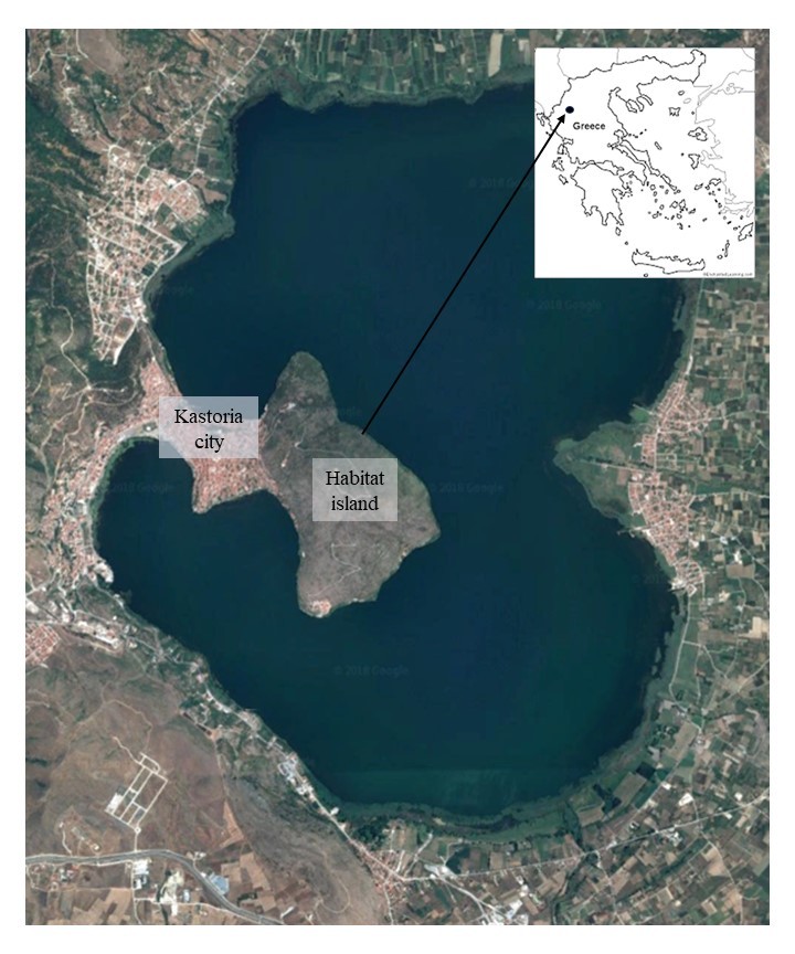 Figure 1.
