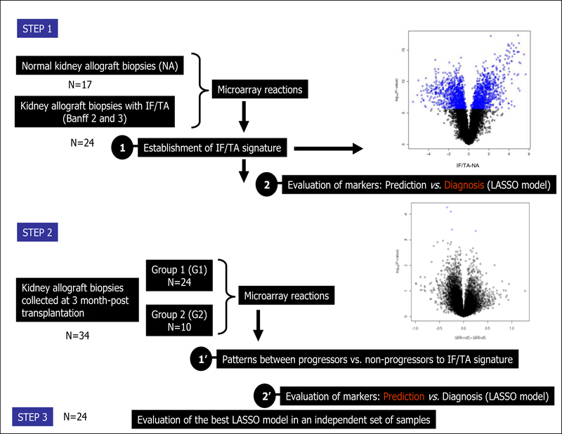 Figure 1 –