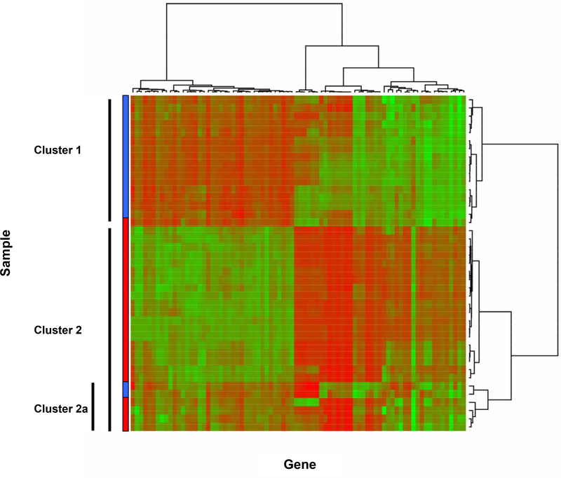 Figure 2 –