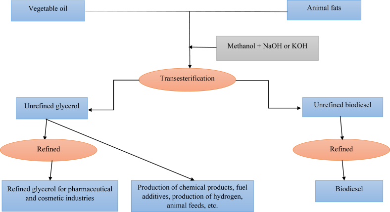 Fig. 1