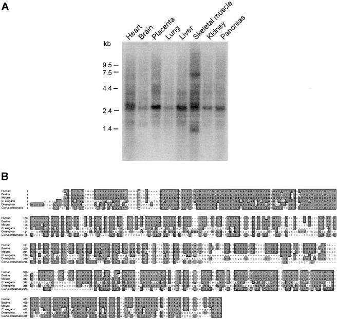 Figure  4