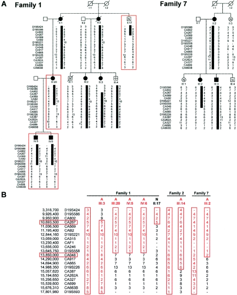 Figure  1