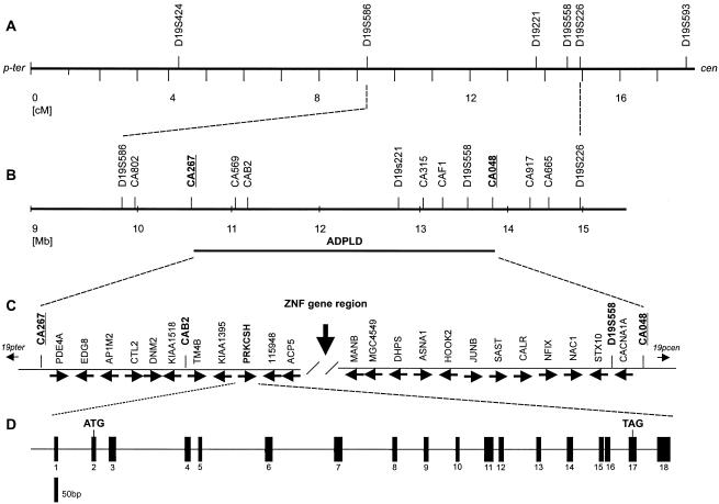 Figure  2