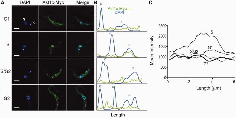 Figure 5.