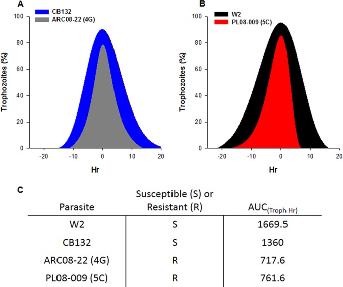 FIG 6