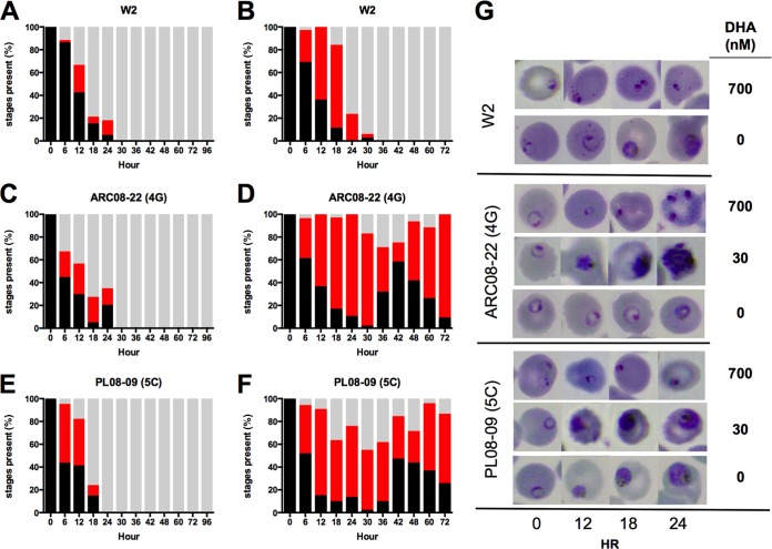 FIG 3