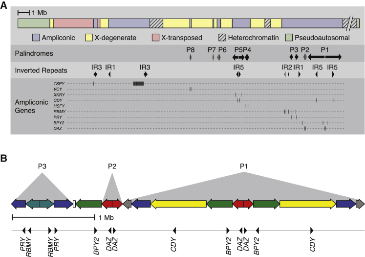 Figure 1