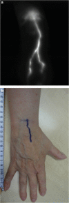 Fig. 3