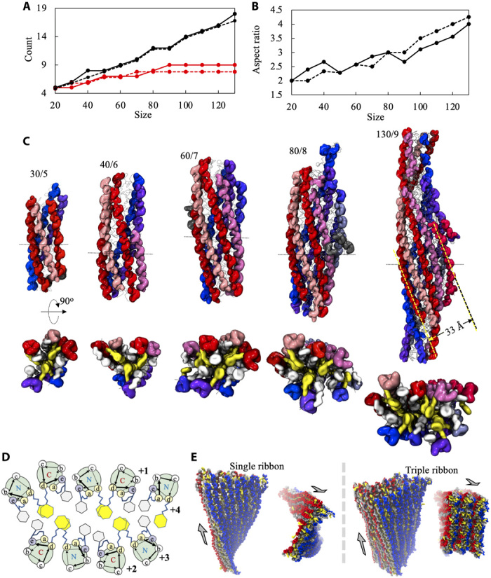 Fig. 3