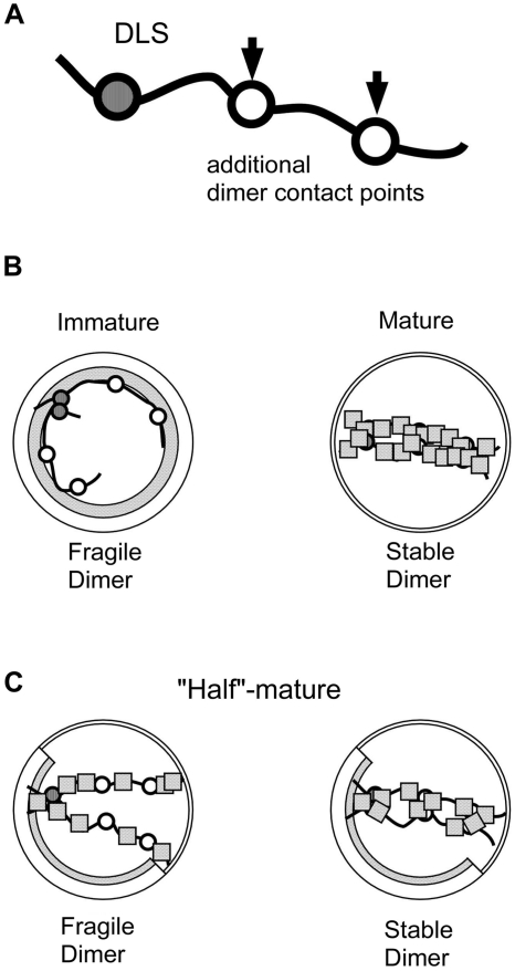 Figure 9.