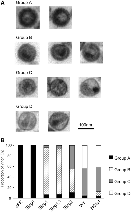 Figure 6.