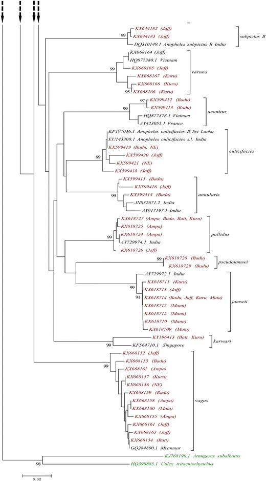 Fig. 4